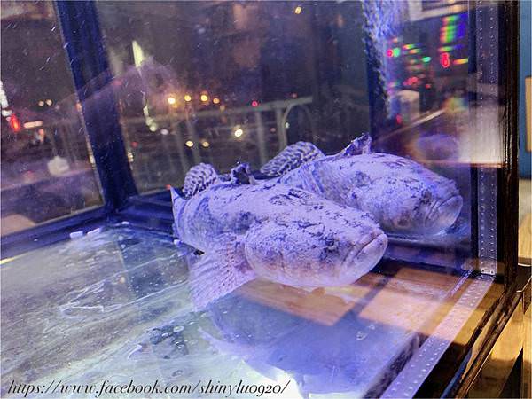 黑白泓生猛活海鮮-板橋熱炒2-2.jpg