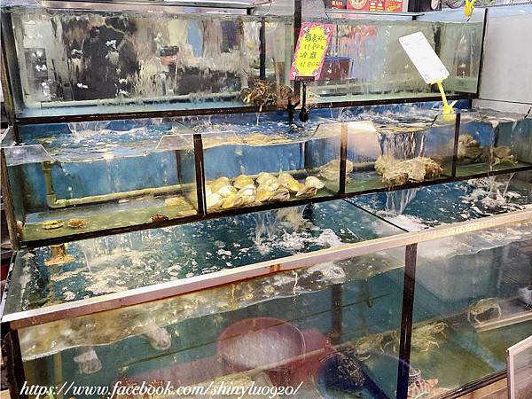 黑白泓生猛活海鮮-板橋熱炒2.jpg