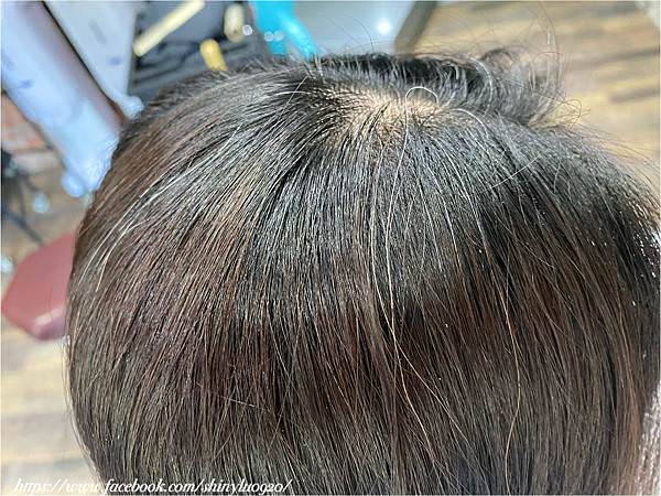 ARES Hair Salon中和染髮4.jpg