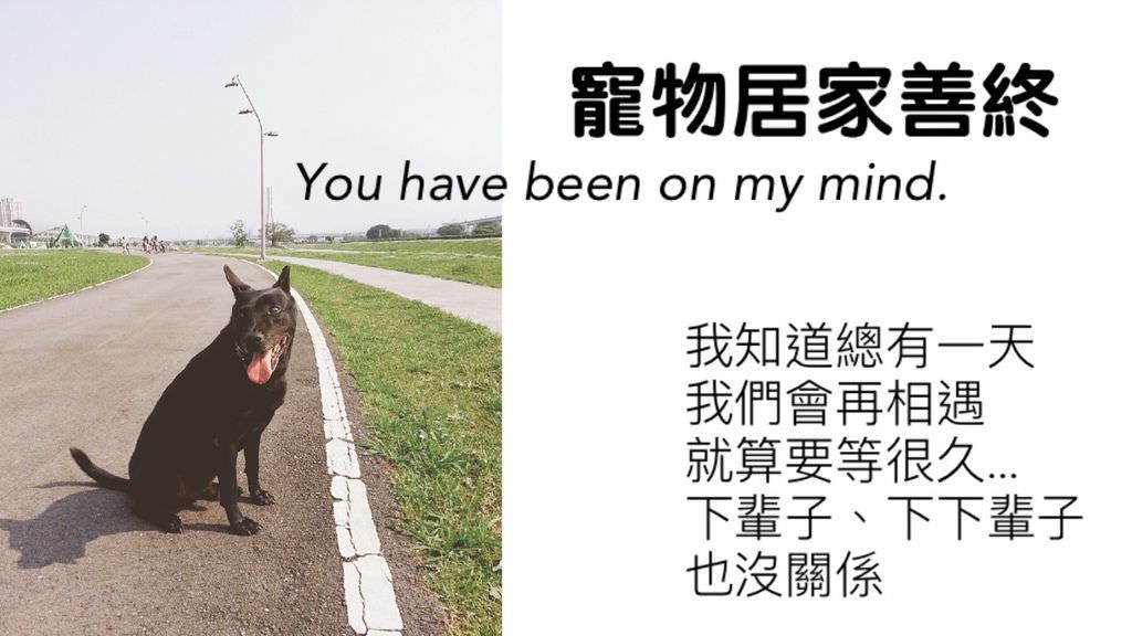 寵物居家安樂心路歷程0.jpg