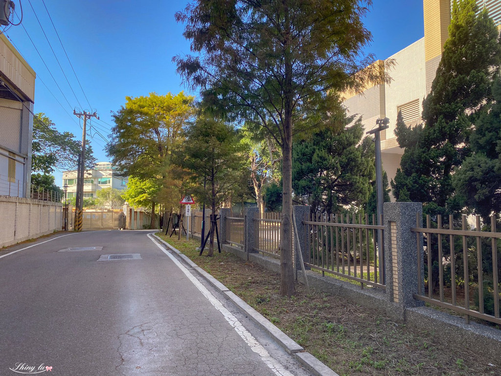 落羽松大道4.jpg