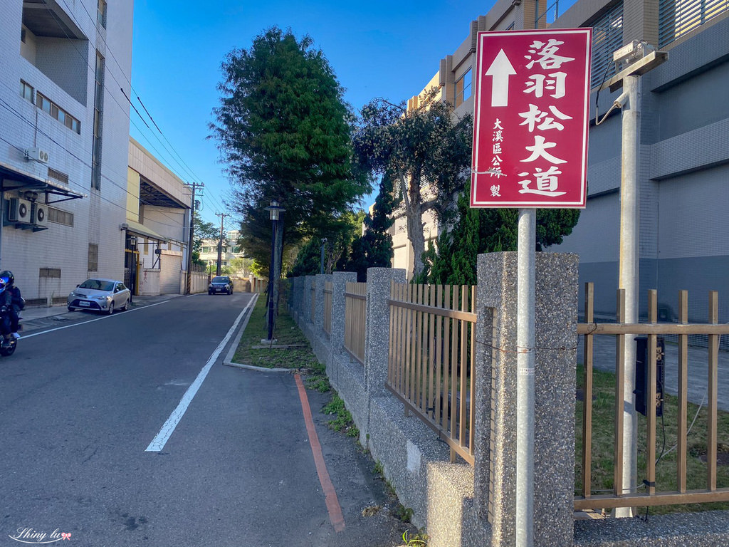 落羽松大道3.jpg