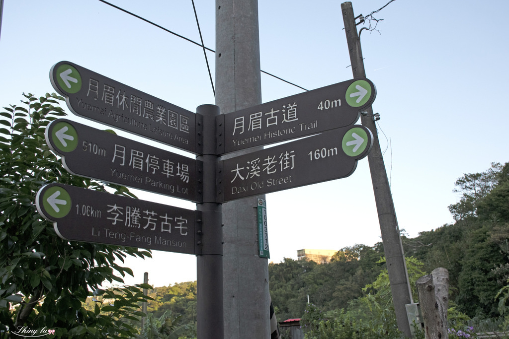 大溪老街一日遊4.jpg