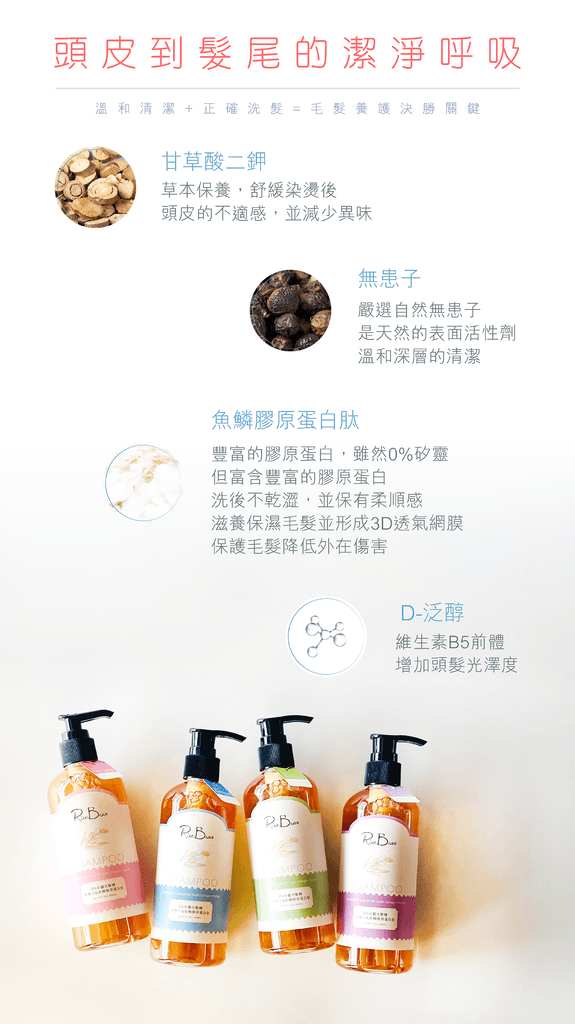 米豆ricebean洗髮精3.png