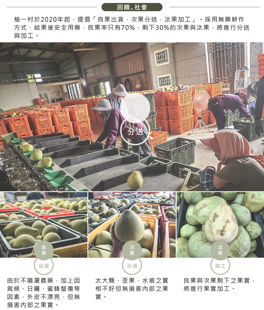 PIM 柚一村40年麻豆老欉文旦禮盒3斤2.jpg
