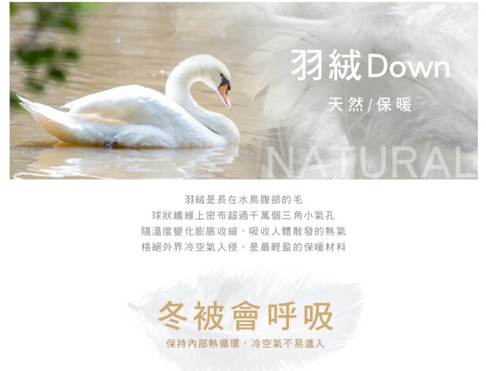 樹林寢具特賣會59.jpg