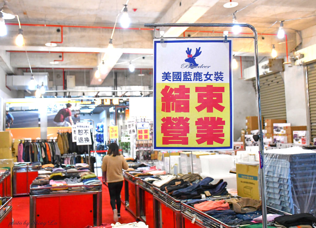 美國藍鹿American bluedeer 1.jpg