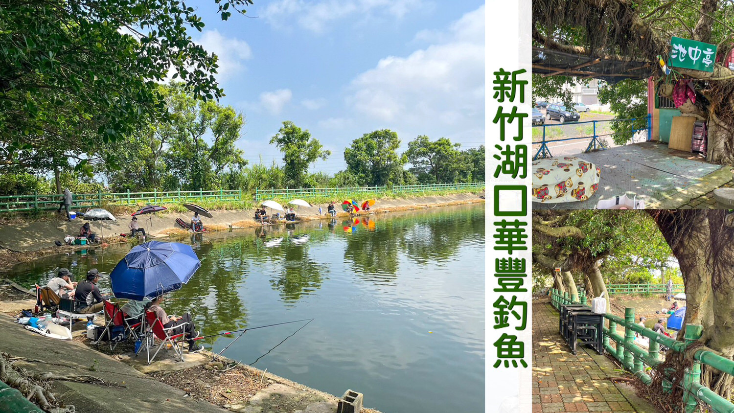 新竹釣魚池推薦 華豐釣魚休閒池0