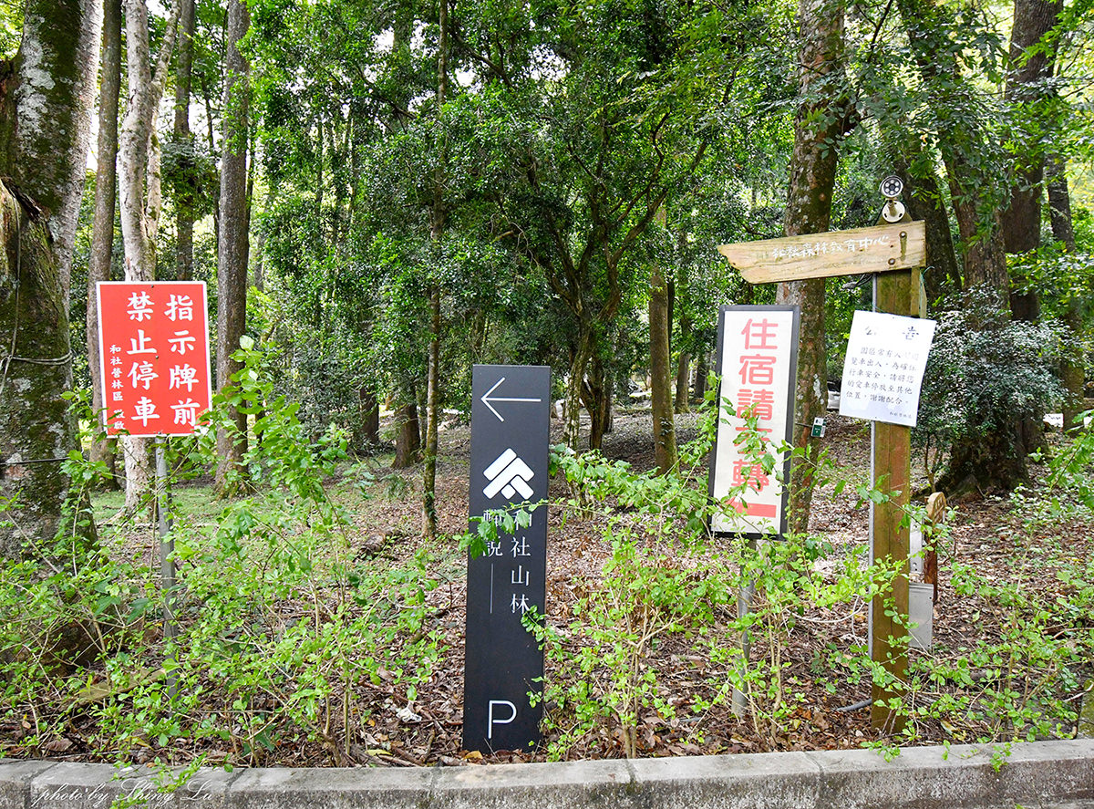 南投信義鄉住宿推薦│蟬說和社山林3