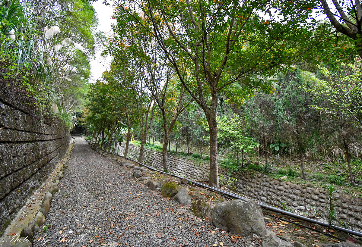 新竹橫山住宿推薦│登美山莊28