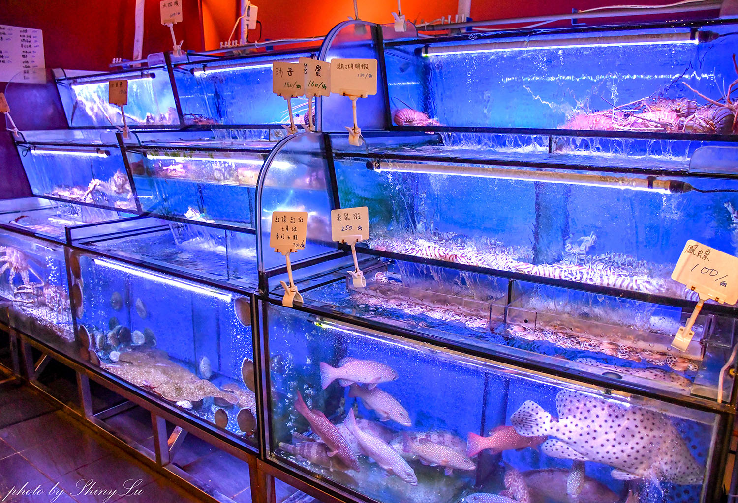 拿靠生猛海鮮餐廳│林口龜山海鮮餐廳│現撈活海鮮真的好新鮮 - 第3張圖