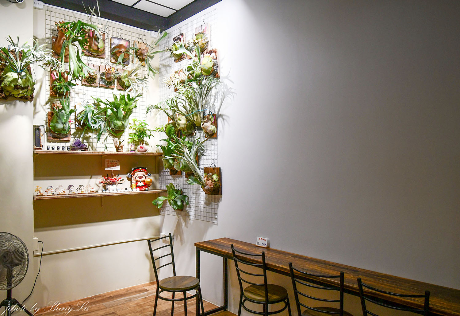 元氣十盅/台G店創始店,蒸煮保留食材鮮甜,中壢雞湯推薦 - 第4張圖