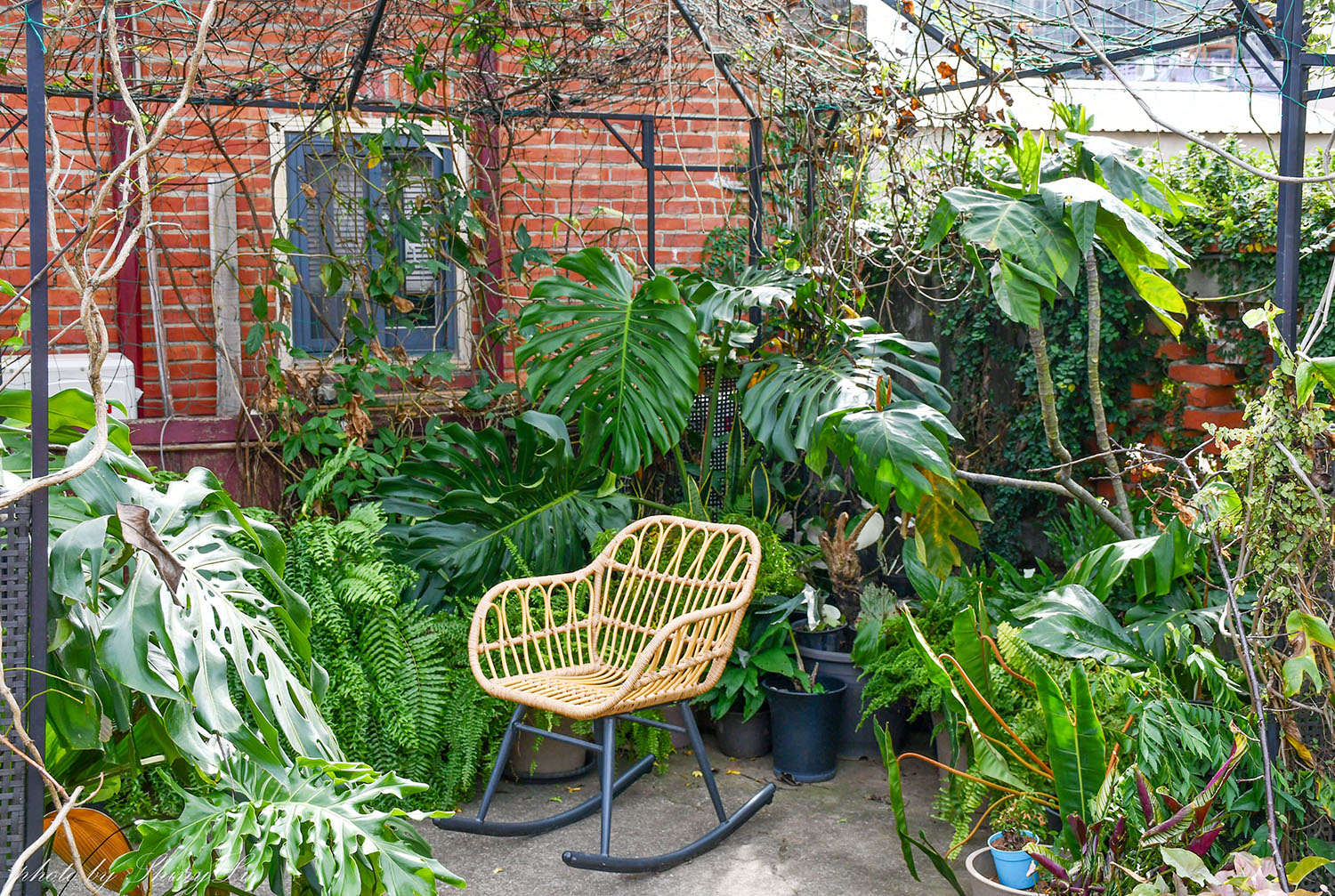 大肚景點美食【一斤面包】只營業週末!隱身三合院的麵包店 - 第15張圖