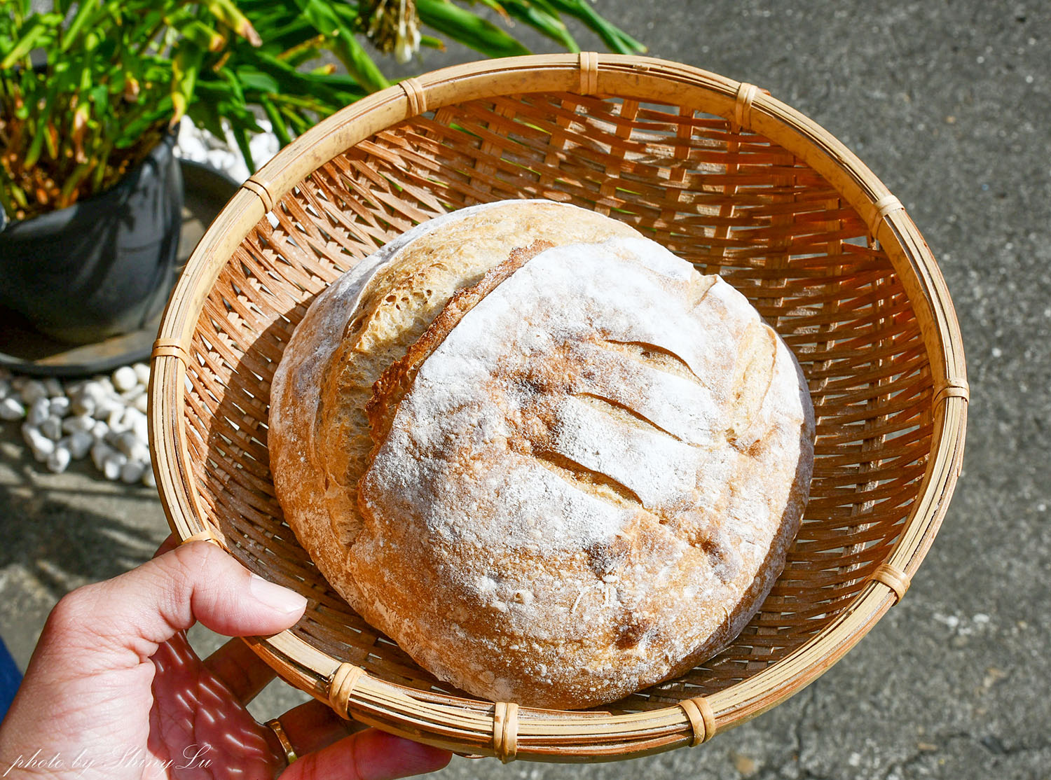 大肚景點美食【一斤面包】只營業週末!隱身三合院的麵包店 - 第8張圖