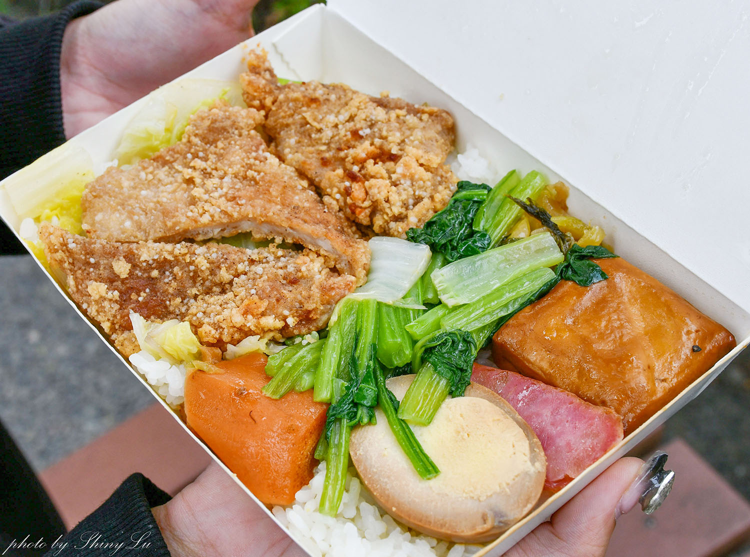 雲林西螺休息站垂降便當/西螺便當/那個好吃?老司機才知道的隱藏版 - 第14張圖