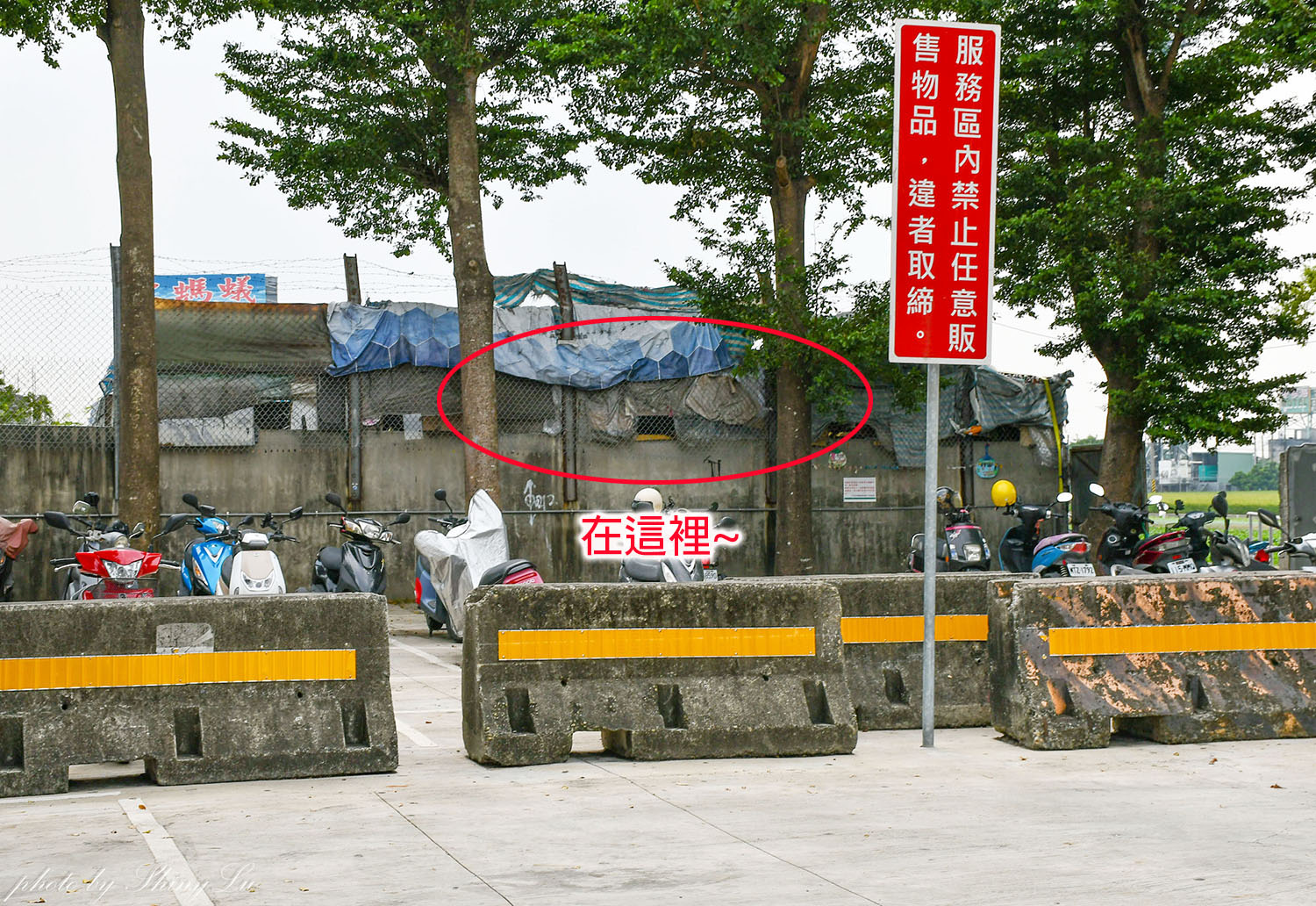 雲林西螺休息站垂降便當/西螺便當/那個好吃?老司機才知道的隱藏版 - 第6張圖