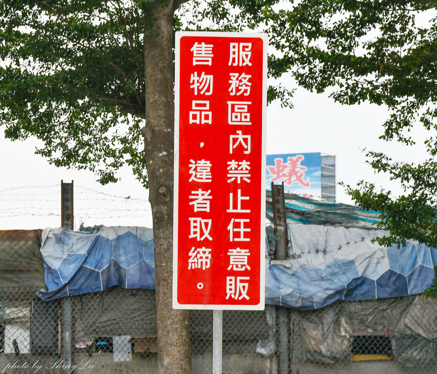 雲林西螺休息站垂降便當/西螺便當/那個好吃?老司機才知道的隱藏版 - 第7張圖