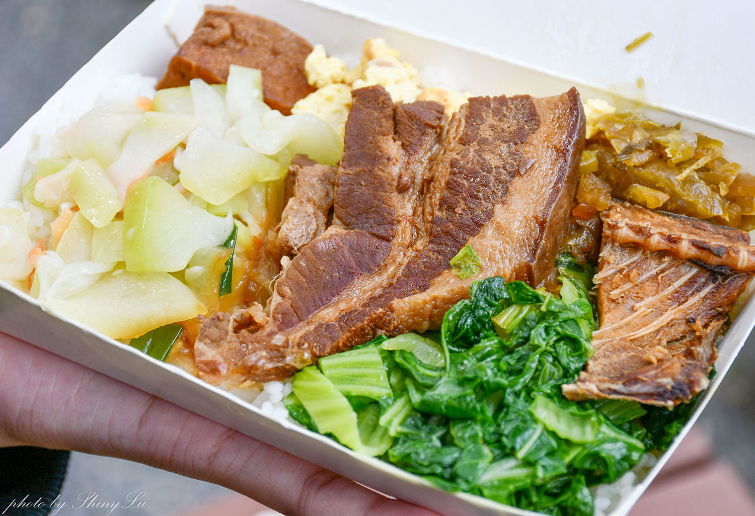 雲林西螺休息站垂降便當/西螺便當/那個好吃?老司機才知道的隱藏版 - 第10張圖