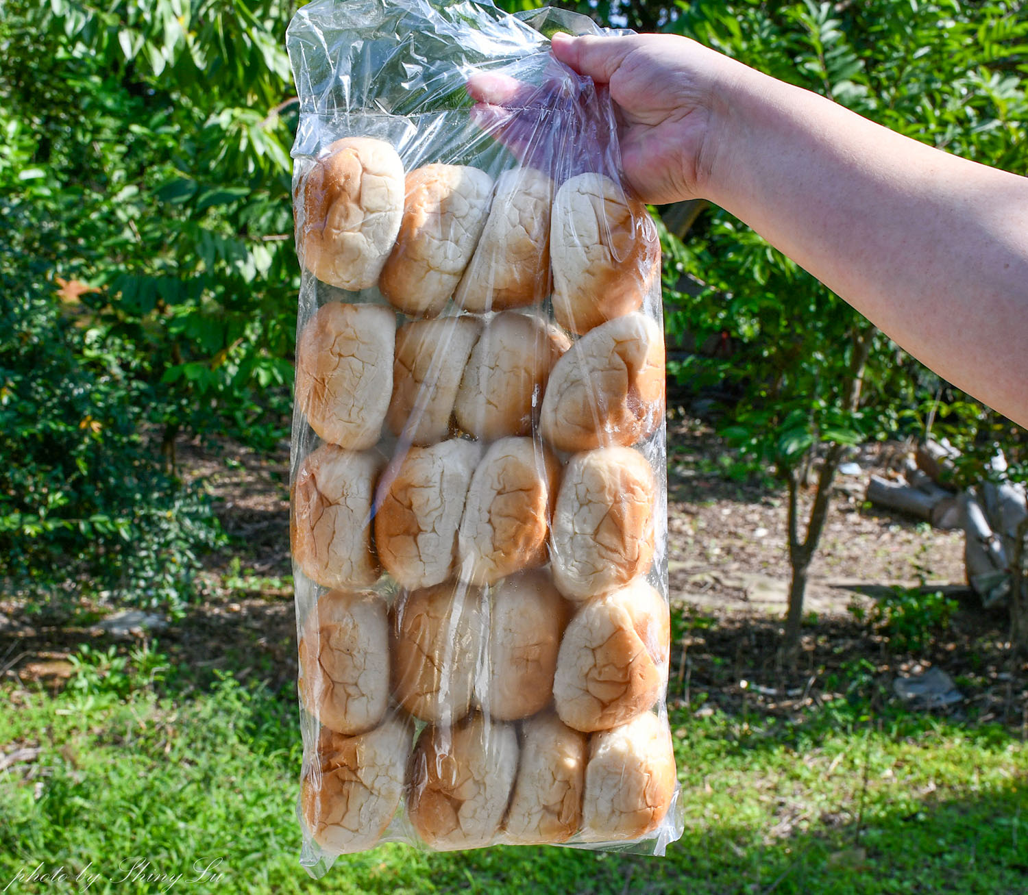 隱身中壢民宅的麵包工廠「人人麵包專業烘焙」奶油餐包1個四元超好吃 - 第13張圖 隱身中壢民宅的麵包工廠「人人麵包專業烘焙」奶油餐包1個四元超好吃