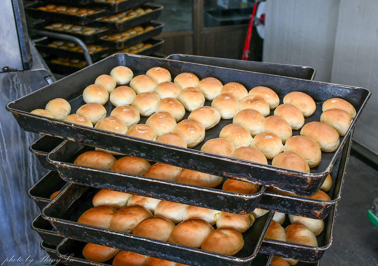 隱身中壢民宅的麵包工廠「人人麵包專業烘焙」奶油餐包1個四元超好吃 - 第6張圖 隱身中壢民宅的麵包工廠「人人麵包專業烘焙」奶油餐包1個四元超好吃