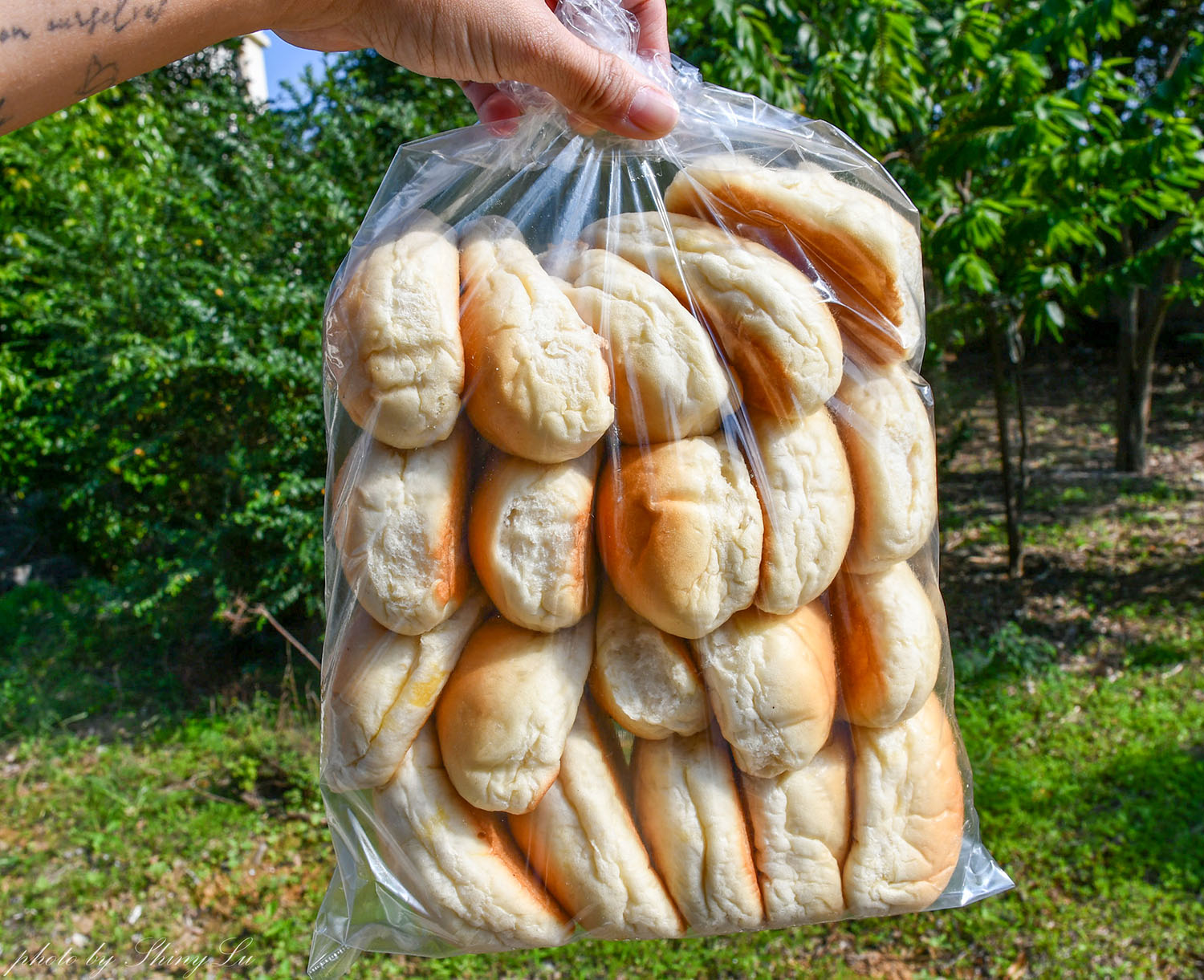 隱身中壢民宅的麵包工廠「人人麵包專業烘焙」奶油餐包1個四元超好吃 - 第9張圖 隱身中壢民宅的麵包工廠「人人麵包專業烘焙」奶油餐包1個四元超好吃