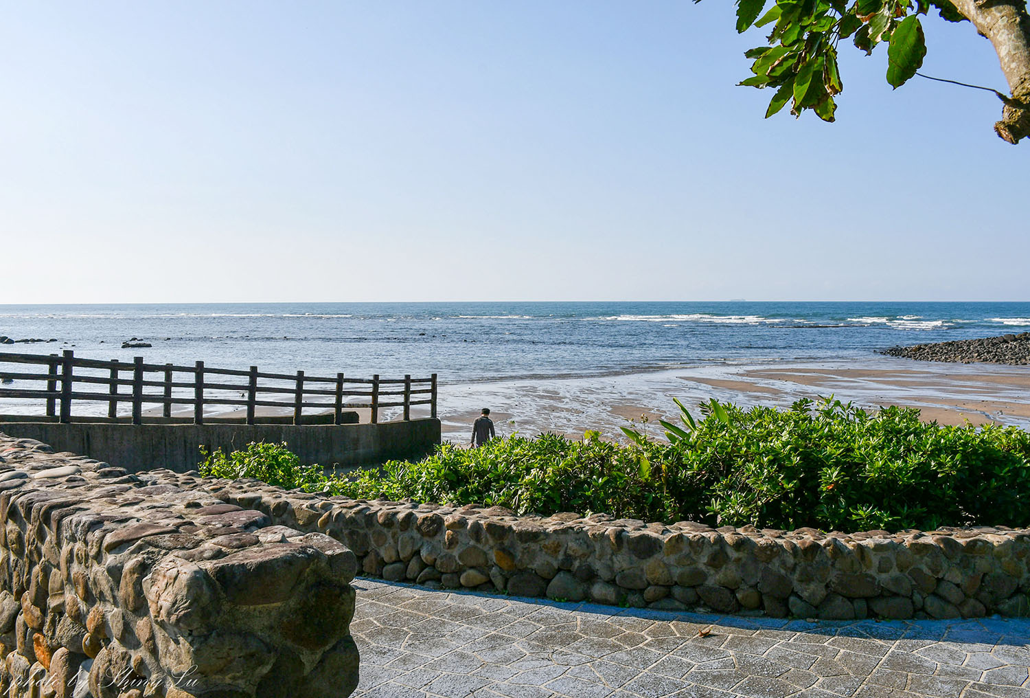 三芝海景咖啡廳│秘境小峇里│南洋風的小庭院超美 - 第4張圖 三芝海景咖啡廳│秘境小峇里│南洋風的小庭院超美