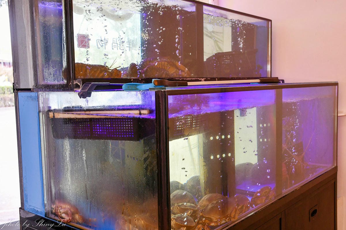 海港匠鍋│日料結合活海鮮鍋物│台中頂級海鮮火鍋推薦