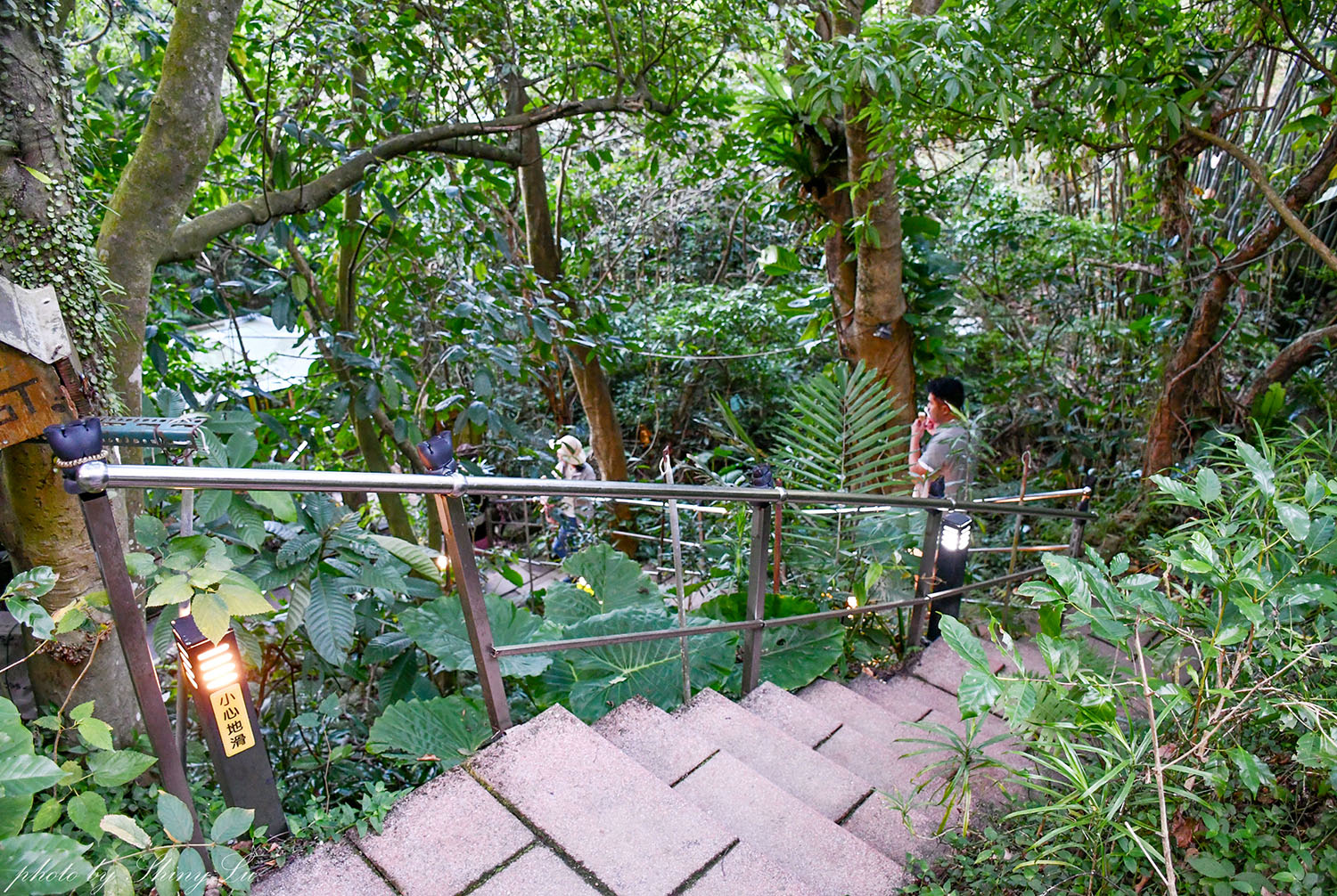 貓空戶外咖啡廳│小日子lazyday│樸實自然│隱身樹林中 - 第3張圖 貓空戶外咖啡廳│小日子lazyday│樸實自然│隱身樹林中