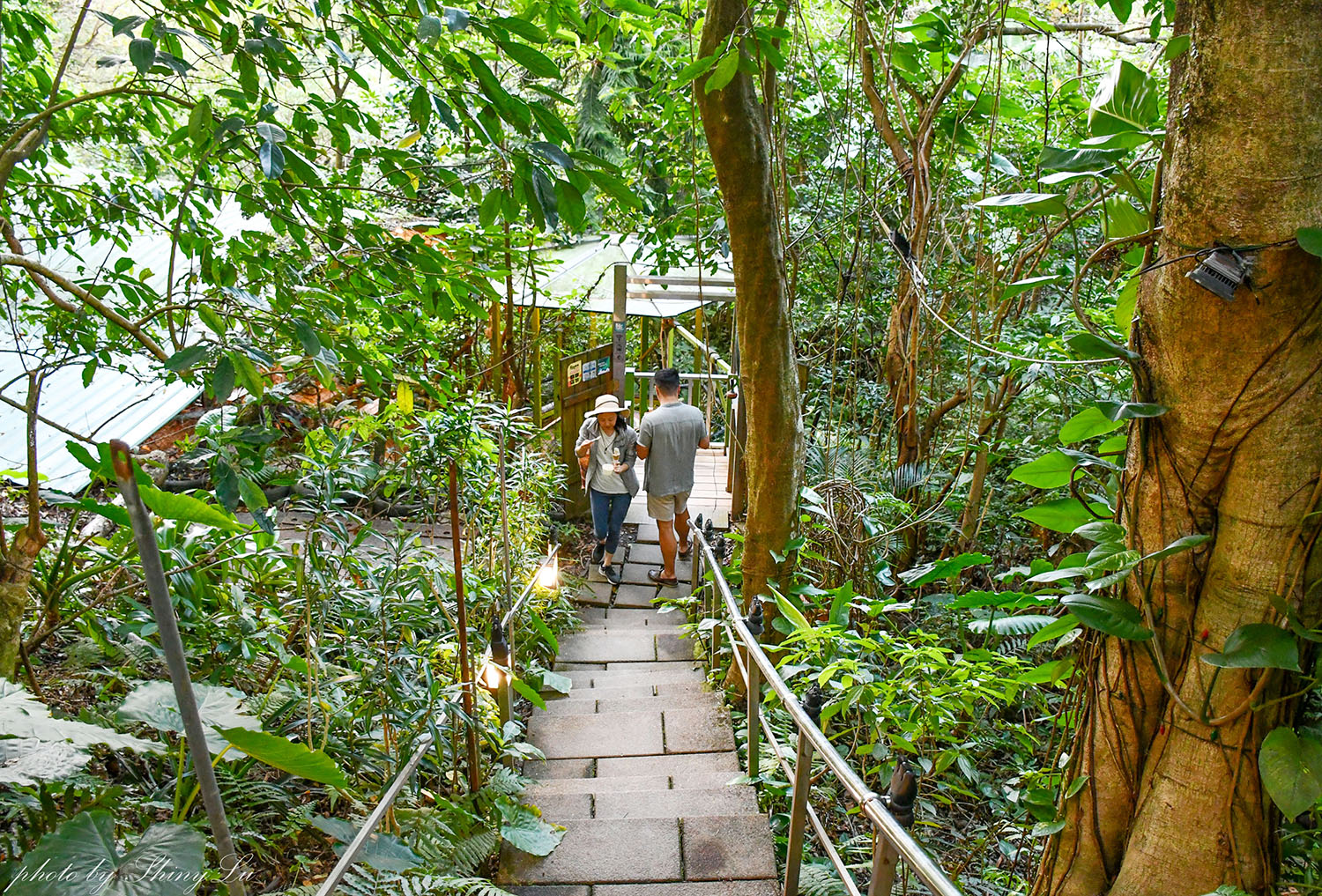 貓空戶外咖啡廳│小日子lazyday│樸實自然│隱身樹林中 - 第4張圖 貓空戶外咖啡廳│小日子lazyday│樸實自然│隱身樹林中