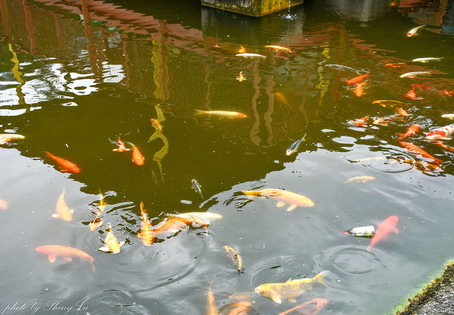 迎富送窮廟怎麼拜？送窮咒文、求發財金全功略，聖杯大道超好拍