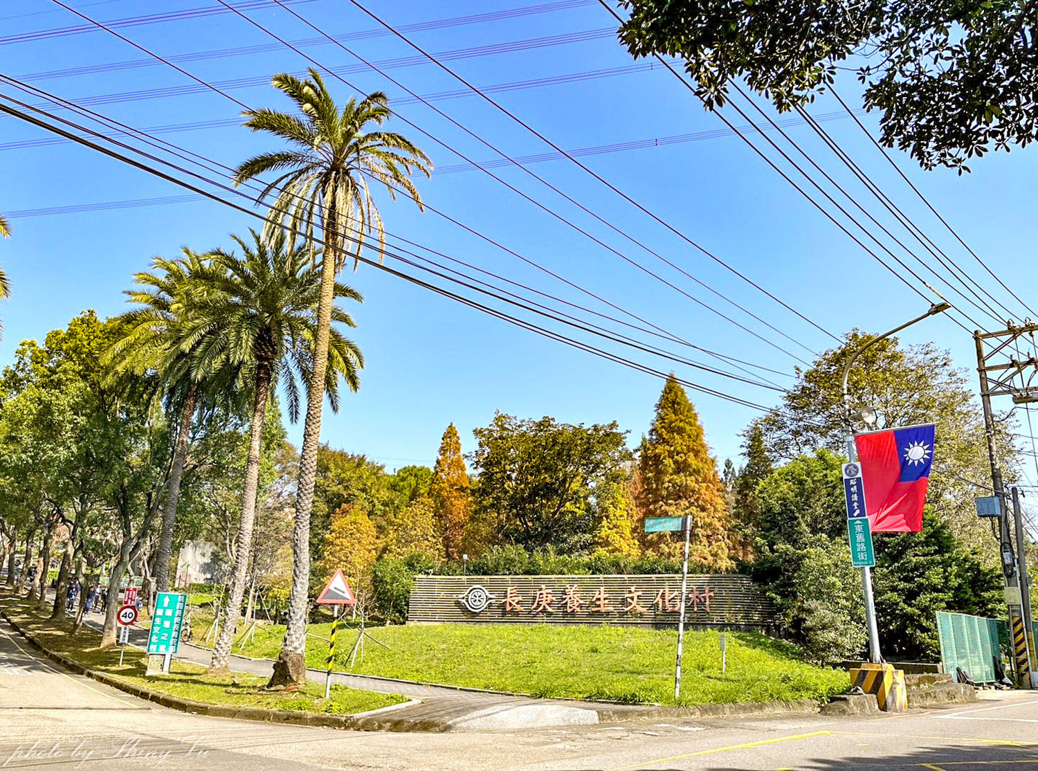 長庚養生文化村-落羽松公園，桃園龜山免費落羽松景點