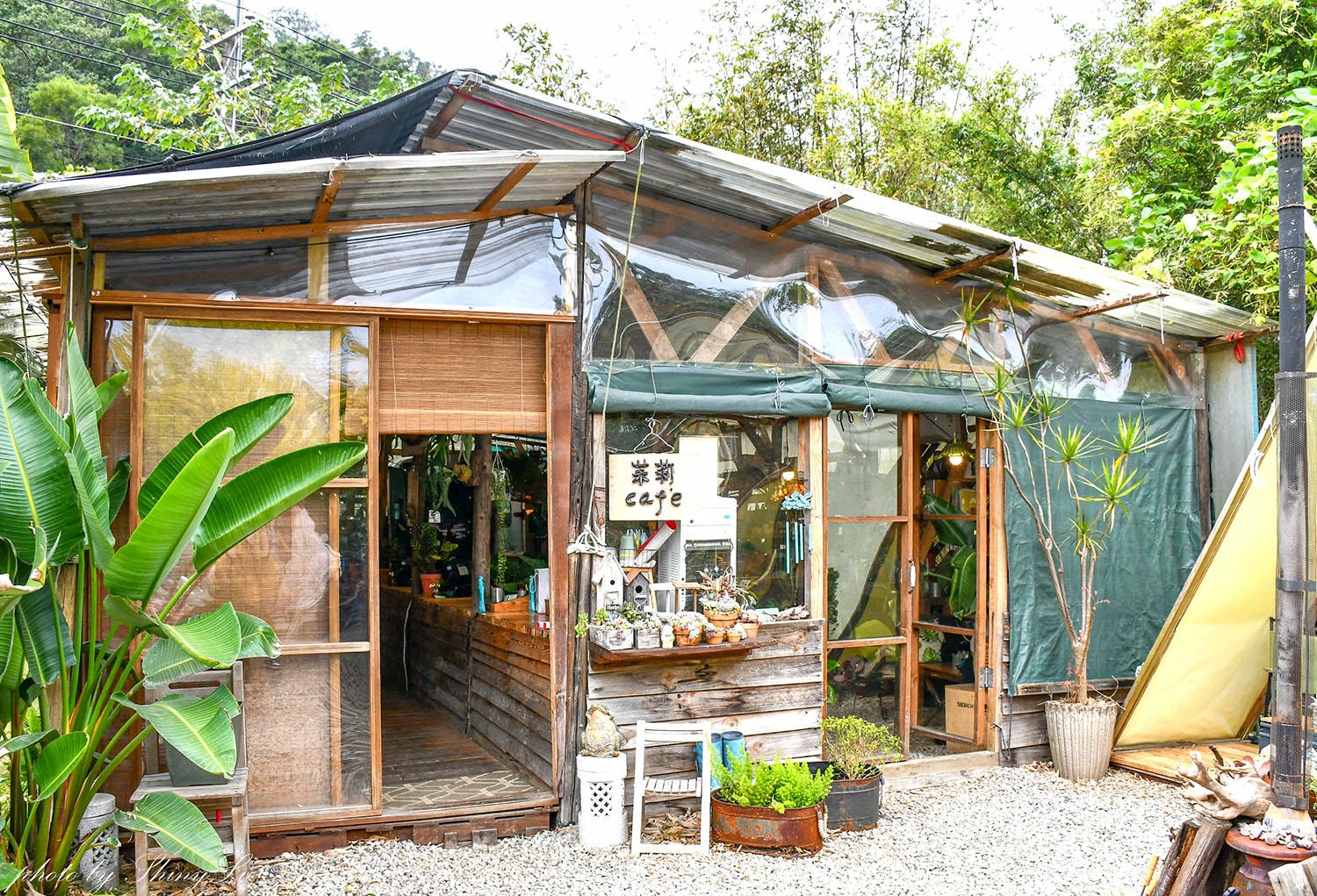 茉莉花園cafe│結合多肉植物系│龍潭咖啡廳推薦
