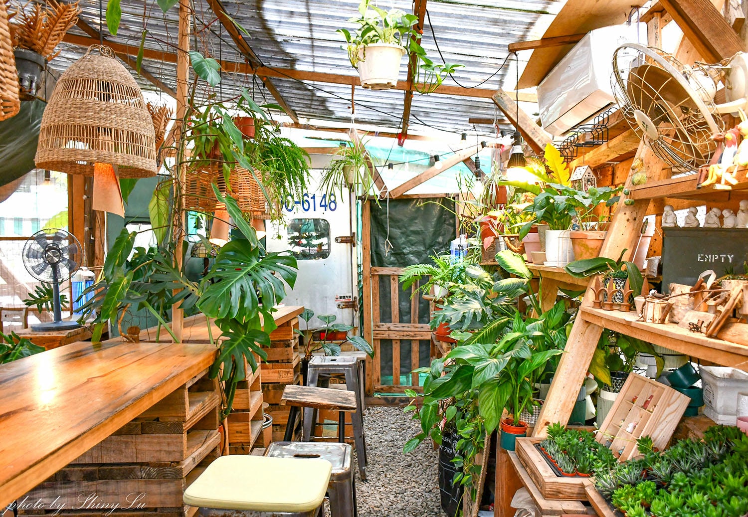 茉莉花園cafe│結合多肉植物系│龍潭咖啡廳推薦