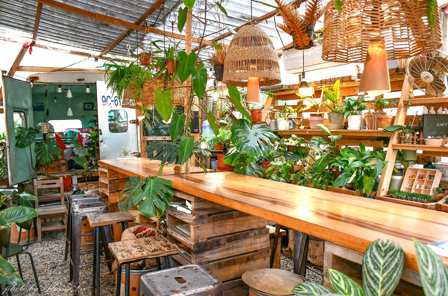 茉莉花園cafe│結合多肉植物系│龍潭咖啡廳推薦