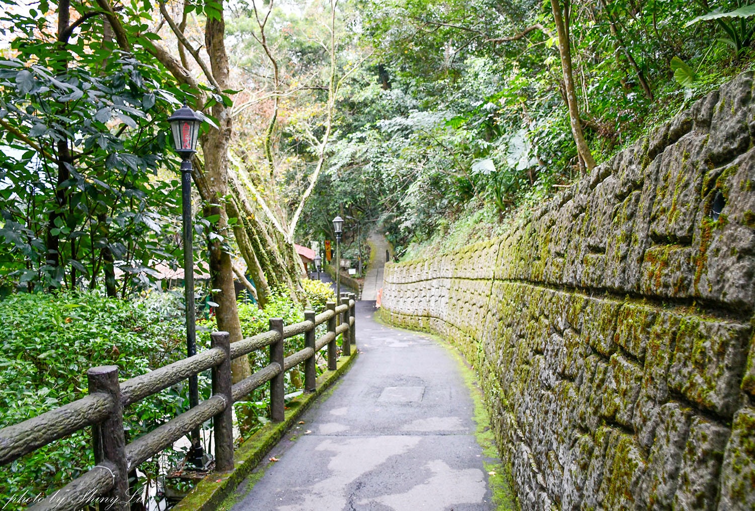 邀月茶坊│全年無休、24小時營業│台北深夜好去處│貓空泡茶推薦 - 第4張圖 邀月茶坊│全年無休、24小時營業│台北深夜好去處│貓空泡茶推薦