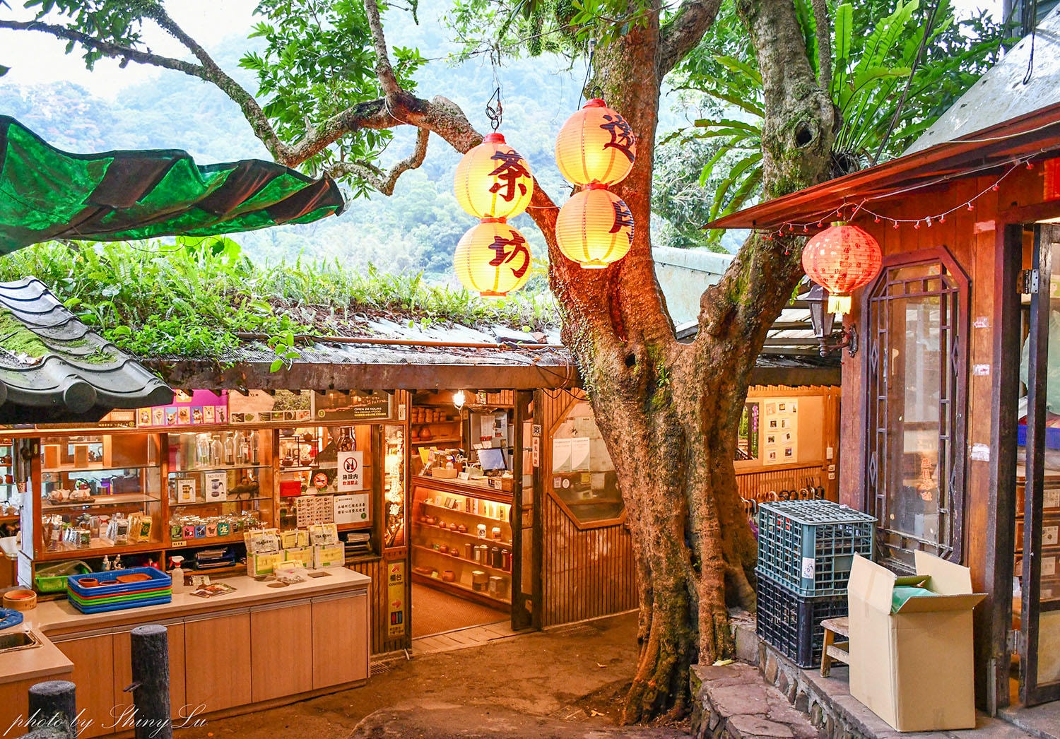 邀月茶坊│全年無休、24小時營業│台北深夜好去處│貓空泡茶推薦 - 第6張圖 邀月茶坊│全年無休、24小時營業│台北深夜好去處│貓空泡茶推薦
