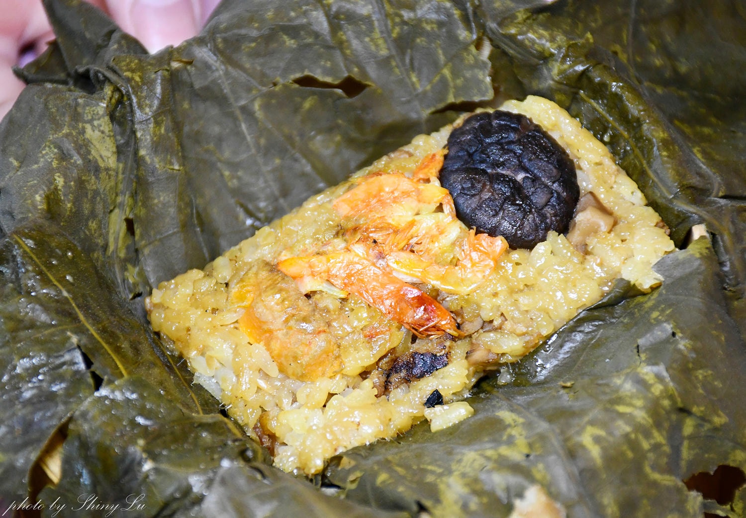 青青格麗絲│港點百匯，脆皮雞火焰秀超酷！739元起/超過60道港點熱炒隨你吃，桃園港式飲茶吃到飽推薦