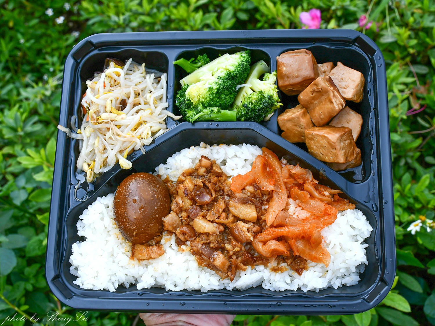館長便當true飯│這麼貴到底好吃嗎？林口高級便當外帶開箱