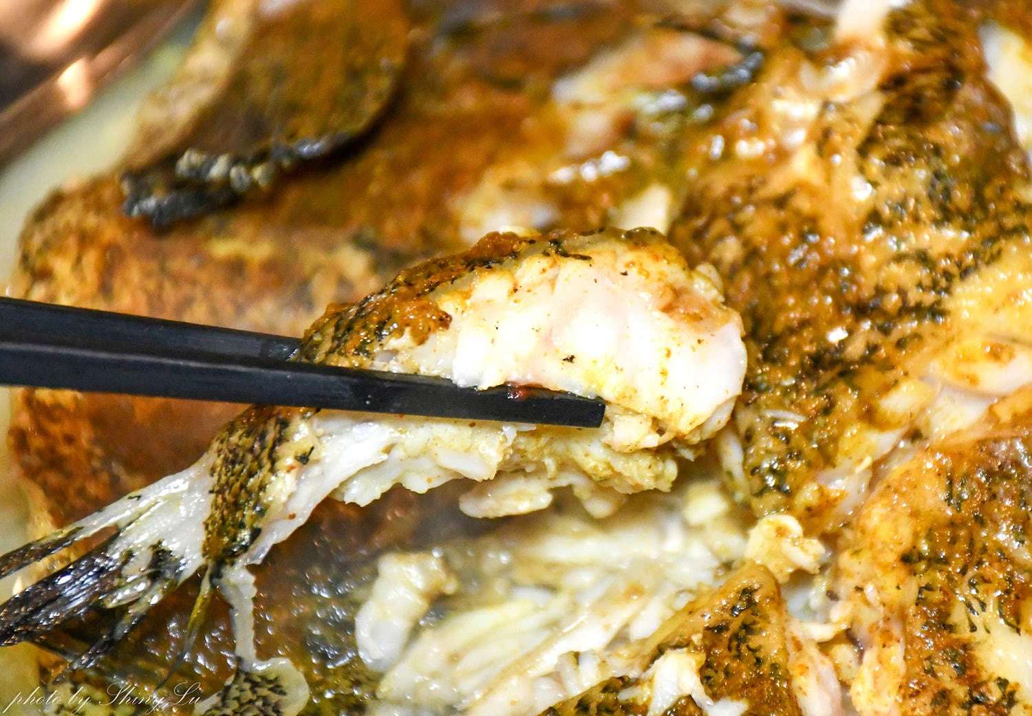 禧園台菜料理│胡椒魚意外的好吃！青埔中式餐廳推薦