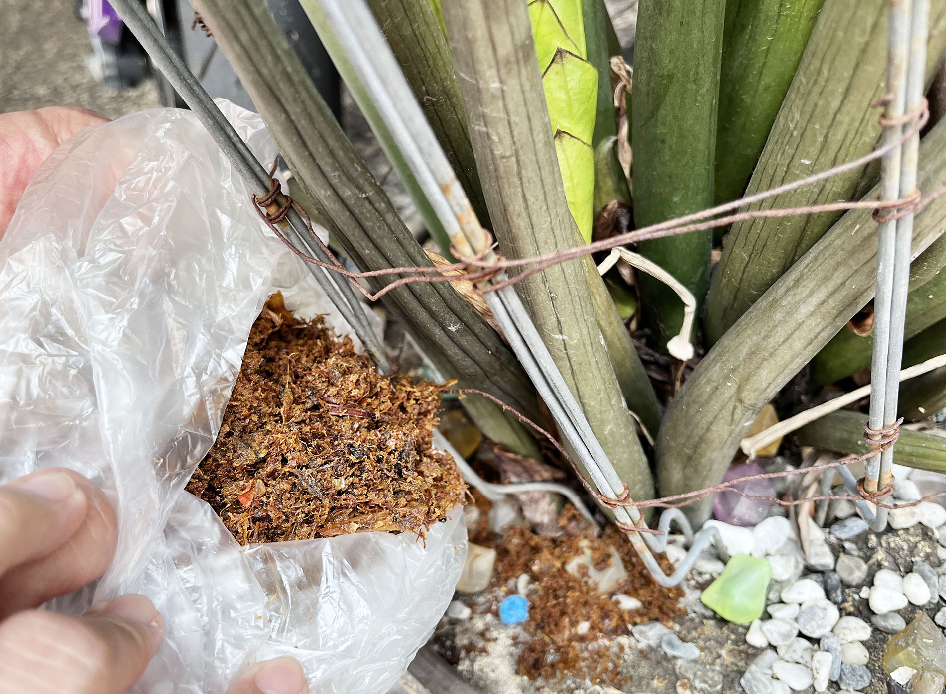 廚餘處理機好用嗎?SANSUI山水 PAKU廚寶3L智能廚餘機評價開箱!一鍵啟動好操作 - 第20張圖 廚餘處理機好用嗎?SANSUI山水 PAKU廚寶3L智能廚餘機評價開箱!一鍵啟動好操作