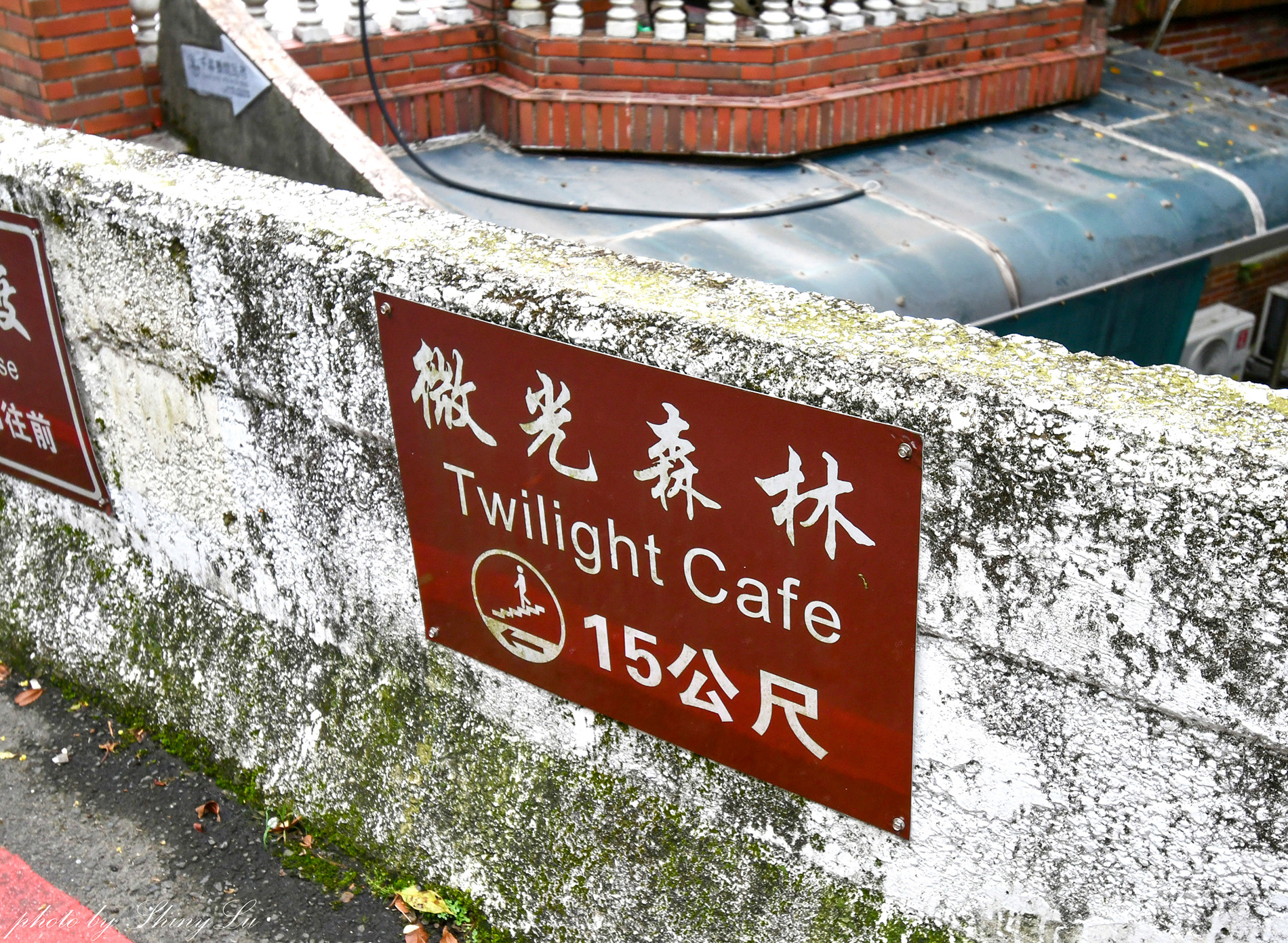 九份秘境咖啡廳│微光森林Twilight cafe│廢墟改建綠意玻璃屋