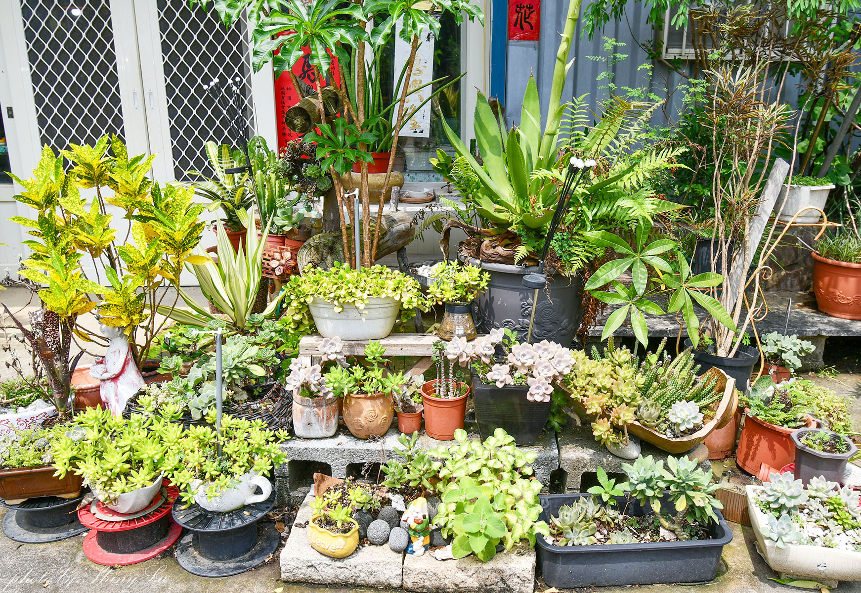 47二次方咖啡花園│中壢秘境咖啡廳│隱身民宿的景觀花園超美