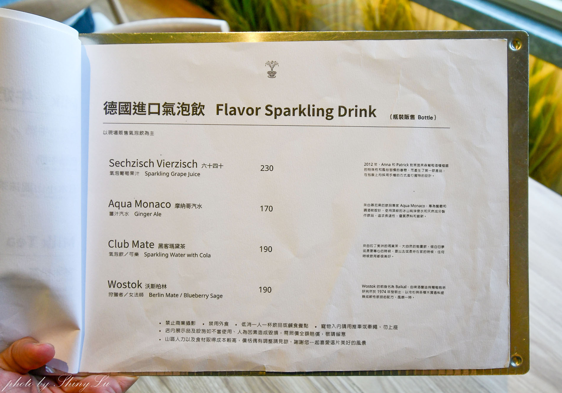 Mountain Bica Cafe，南投清境最美的不限時咖啡廳，必點老奶奶島嶼黑菜餃
