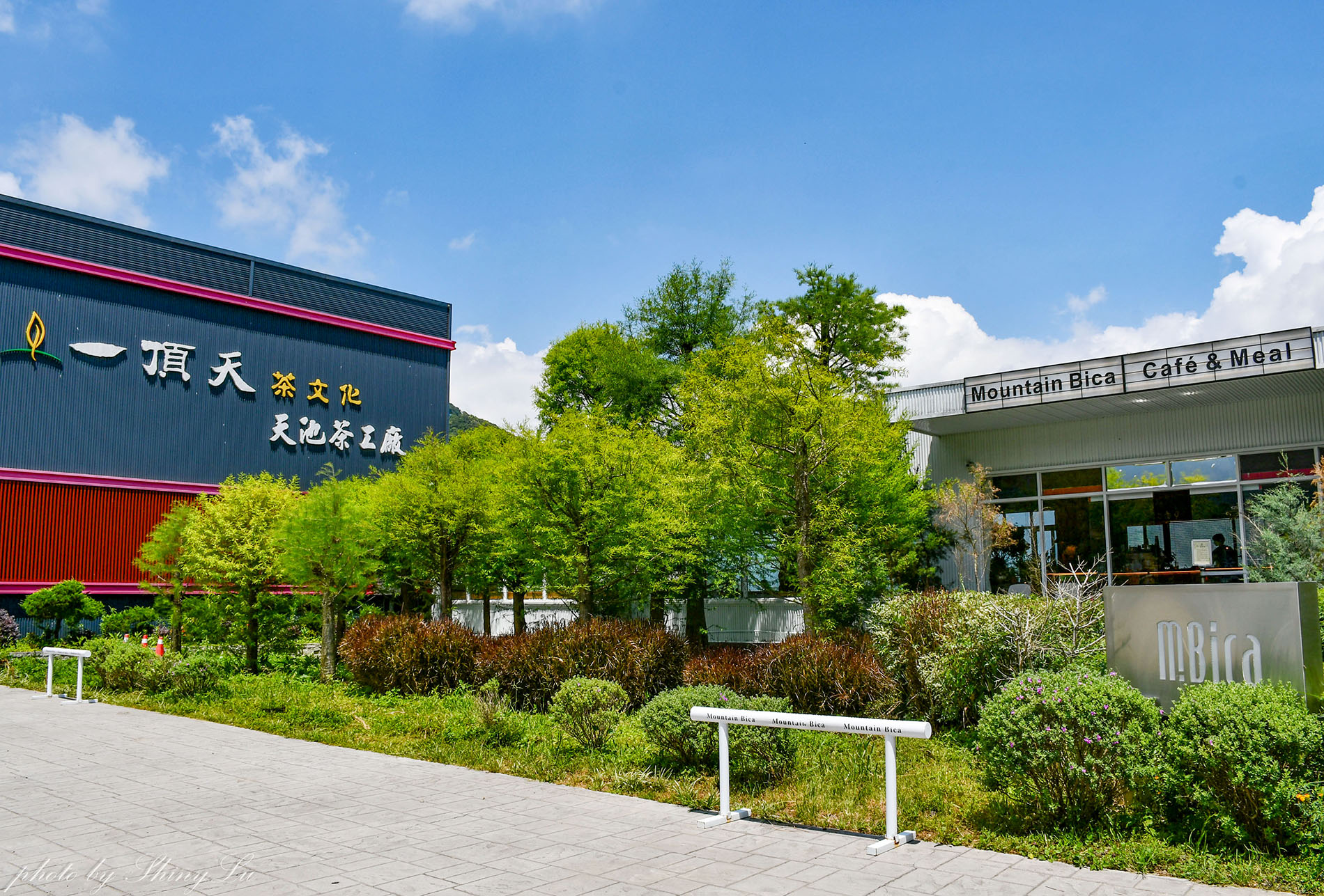 Mountain Bica Cafe，南投清境最美的不限時咖啡廳，必點老奶奶島嶼黑菜餃
