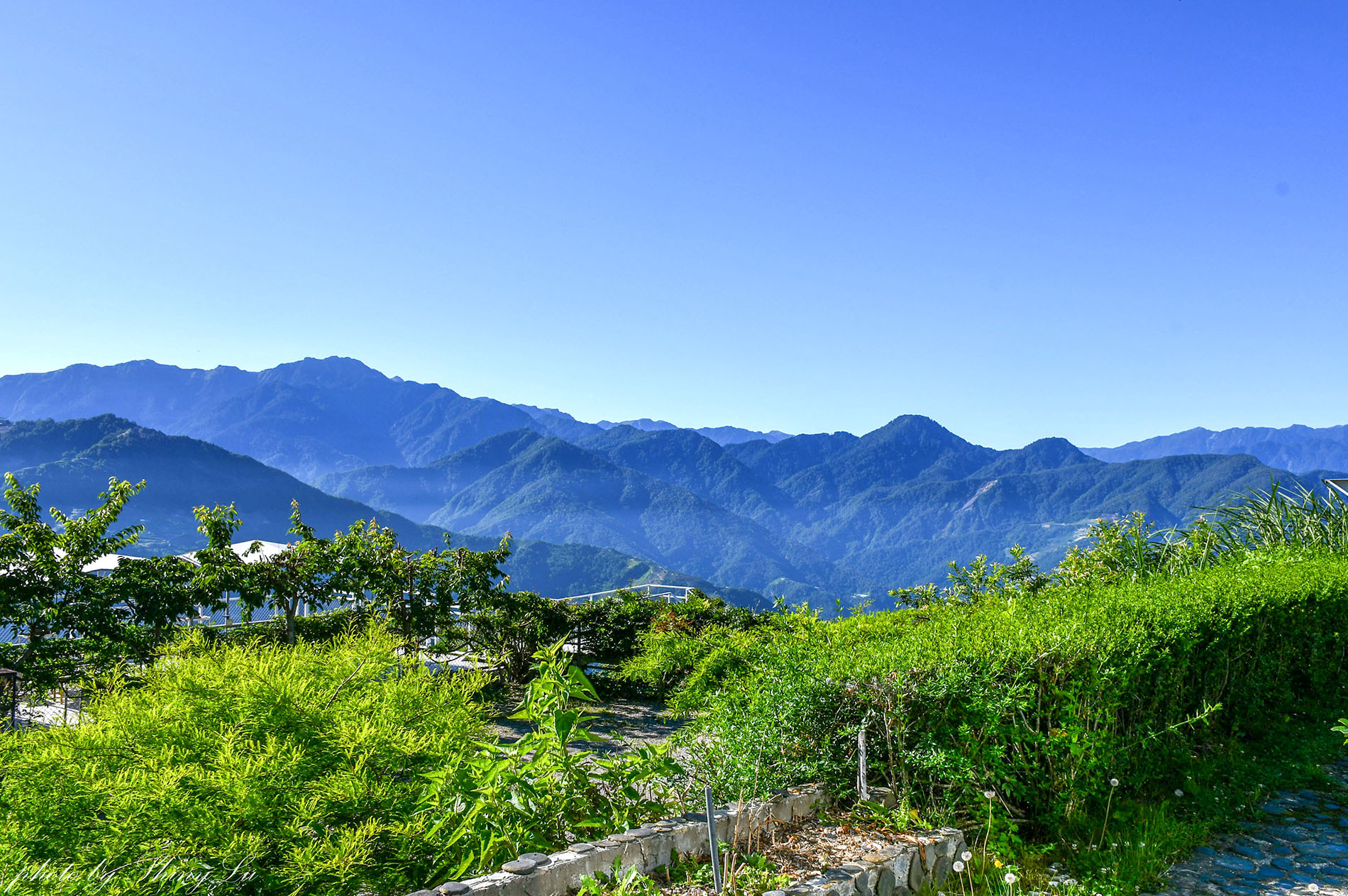 南投清境博望新村內【慶安宮】八角亭周圍群山環繞│享受高山上的寧靜感