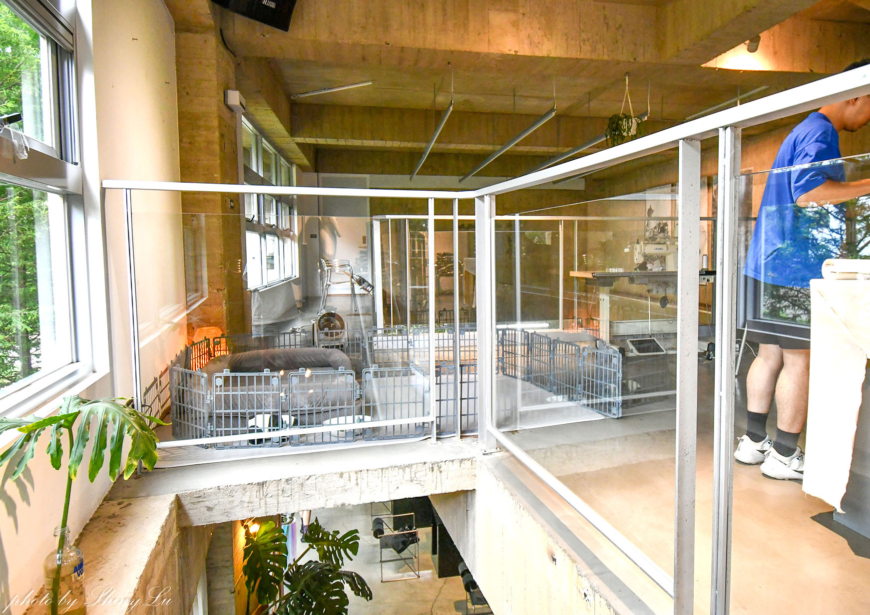 1771 Studio，挑高清水模，桃園大園寵物友善咖啡廳