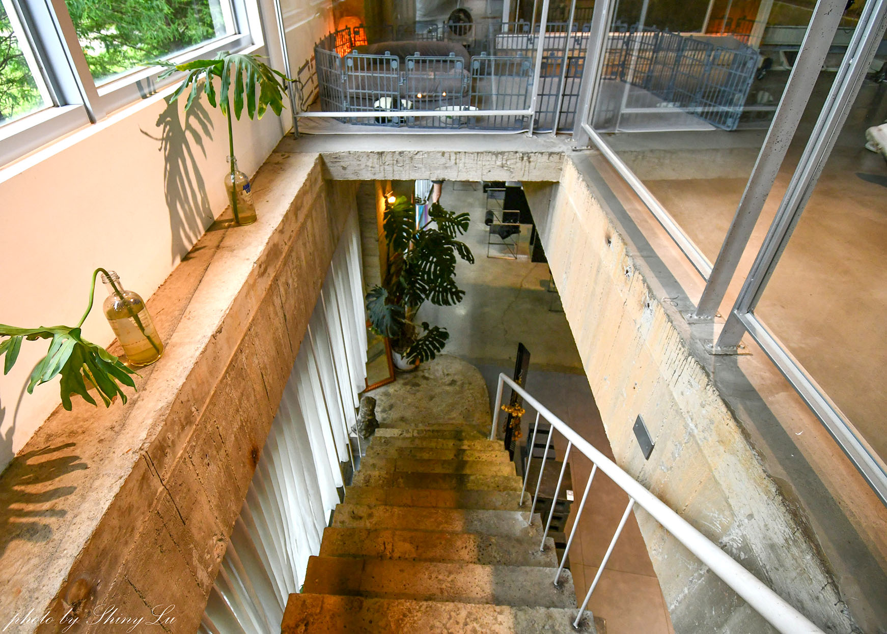 1771 Studio，挑高清水模，桃園大園寵物友善咖啡廳